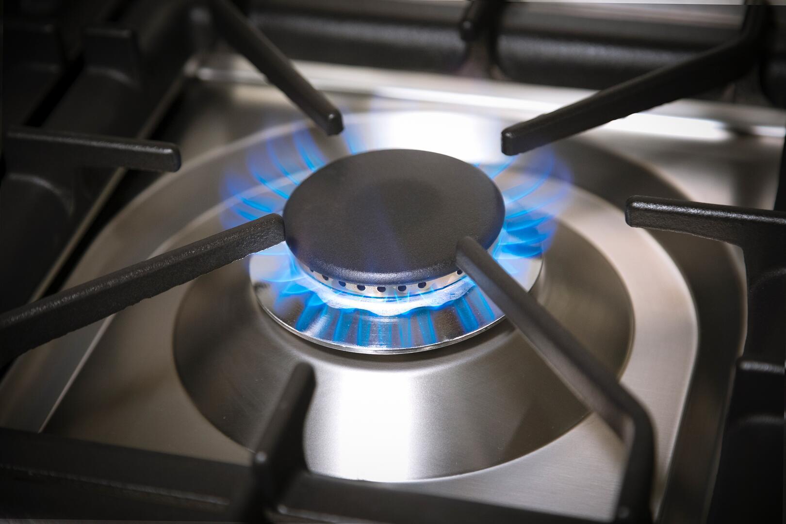 Professional dual fuel range burner with blue flame and cast burner cap