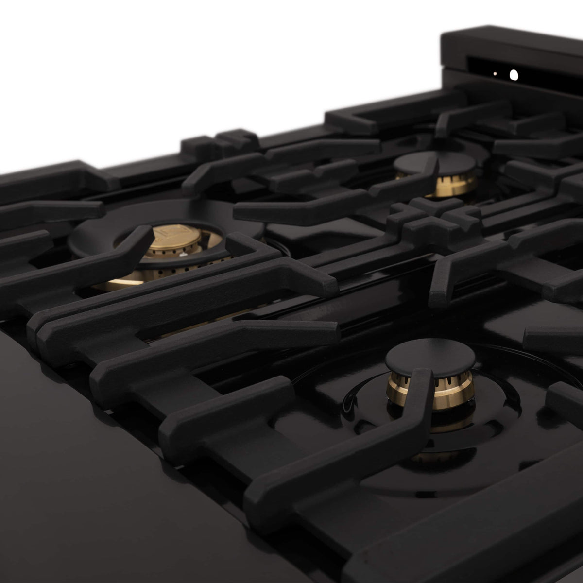 Close-up of black grates and brass-topped gas burners on a dual fuel range