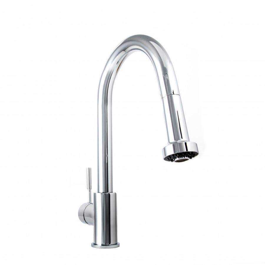 Chrome kitchen faucet with arched spout and round spray head