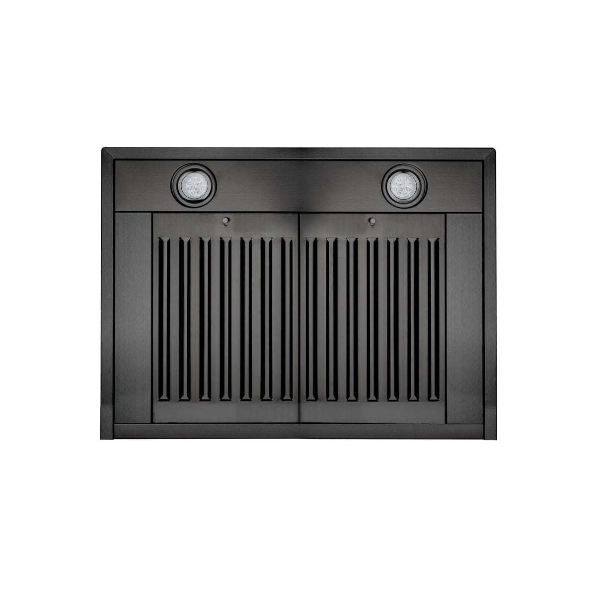 Black baffle filter panel with two round LED lights on range hood