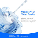 Waterdrop Filter with RO membrane, Replacement for WD-C1S and WD-C1H Countertop CoreRO System, 12-month Lifetime (WD-C1RF)