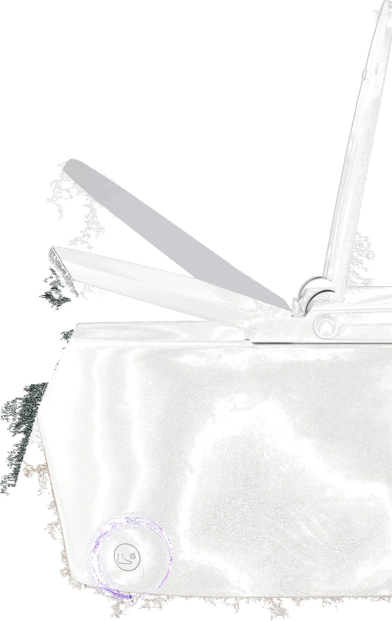 Forno Acqua Luxurious Smart Toilet, Includes Auto Flush, Auto Lid, Powerful Flush, Sleek Tankless Design Ideal for Powder Rooms (CSTPA0)