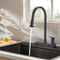 FORNO ACQUA 4 Function Waterfall Pull-Down Kitchen Faucet in Black (FCWRMBKD1)