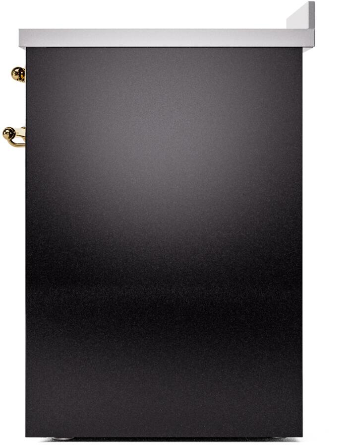 Freestanding electric induction range right side panel, glossy black with brass door hardware