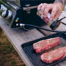 Monument Table Top Propane Gas Grill in Stainless Steel with 2 Burners (G22)