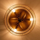Parrot Uncle 14-Inch Farmhouse DC Motor Flush Mount Reversible Iron Ceiling Fan with LED Lighting and Remote Control (F8257110V)