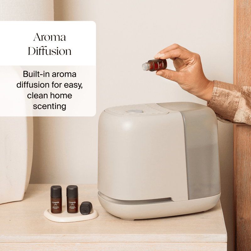 Canopy Bedside Compact Humidifier 2.0 Aroma Diffuser with UV Light and White Noise