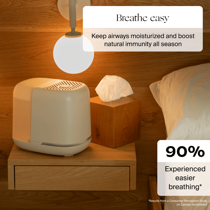 Canopy Bedside Compact Humidifier 2.0 Aroma Diffuser with UV Light and White Noise