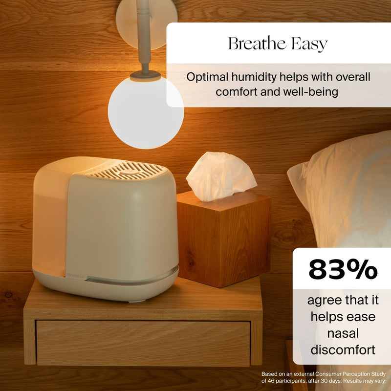 Canopy Bedside Compact Humidifier 2.0 Aroma Diffuser with UV Light and White Noise
