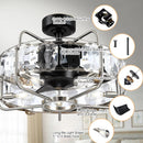 Parrot Uncle 23-Inch Modern DC Motor Downrod Mount Reversible Fandelier Ceiling Fan with Lighting and Remote Control (F8237110V)
