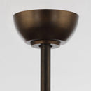 Parrot Uncle 24-Inch Farmhouse DC Motor Ceiling Fan with Lighting and Remote Control (A556606CA110V)