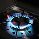 Monument Eminence Fortified Propane Gas Grill in Black Powder Coated with 4 Burners (E425)