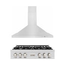 ZLINE 2-Piece Appliance Package - 36-Inch Rangetop and Covertible Range Hood in Stainless Steel (2KP-RTRH36)