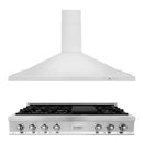 ZLINE 2-Piece Appliance Package - 48-Inch Rangetop and Covertible Range Hood in Stainless Steel (2KP-RTRH48)