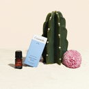 Canopy Coastals Aroma Kit With Pure Essential Oils