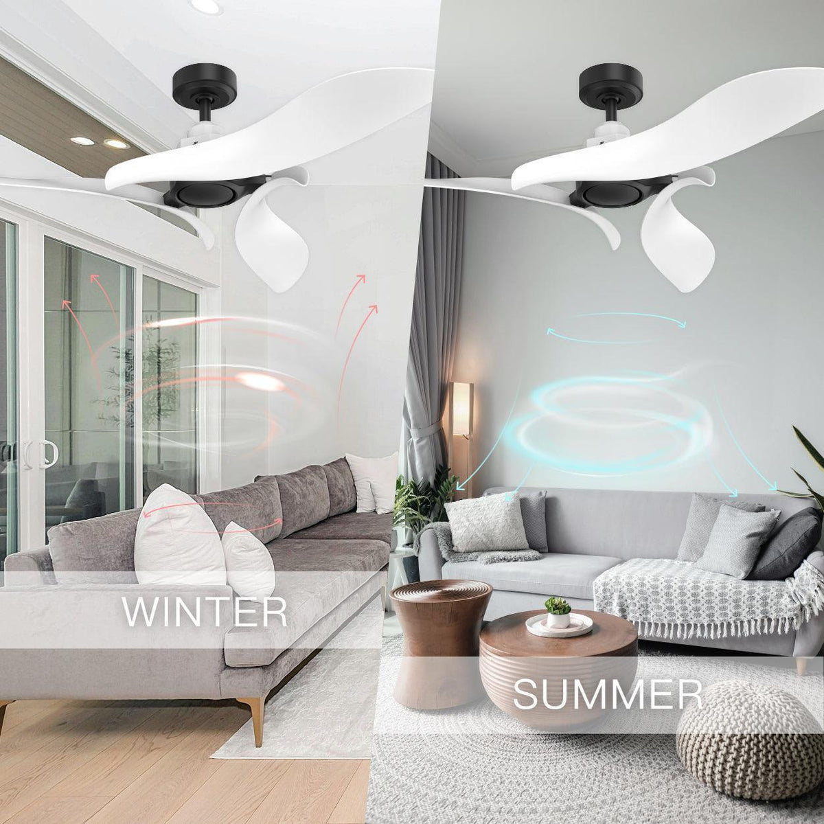 Ceiling fans with black mounts and white blades in a living room