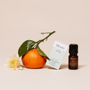 Canopy Bloom Aroma Kit With Pure Essential Oils