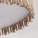 Parrot Uncle 3-Light Farmhouse LED Ceiling Lighting (BBW9512-3110V)