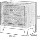 Parrot Uncle Furniture of America Lucien 23" Modern Wood Nightstand with 2 Drawers