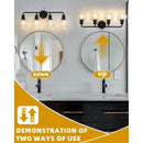 Parrot Uncle Irvine Black Modern Clear Glass 4-Light Vanity Light (3056-4BLACK)