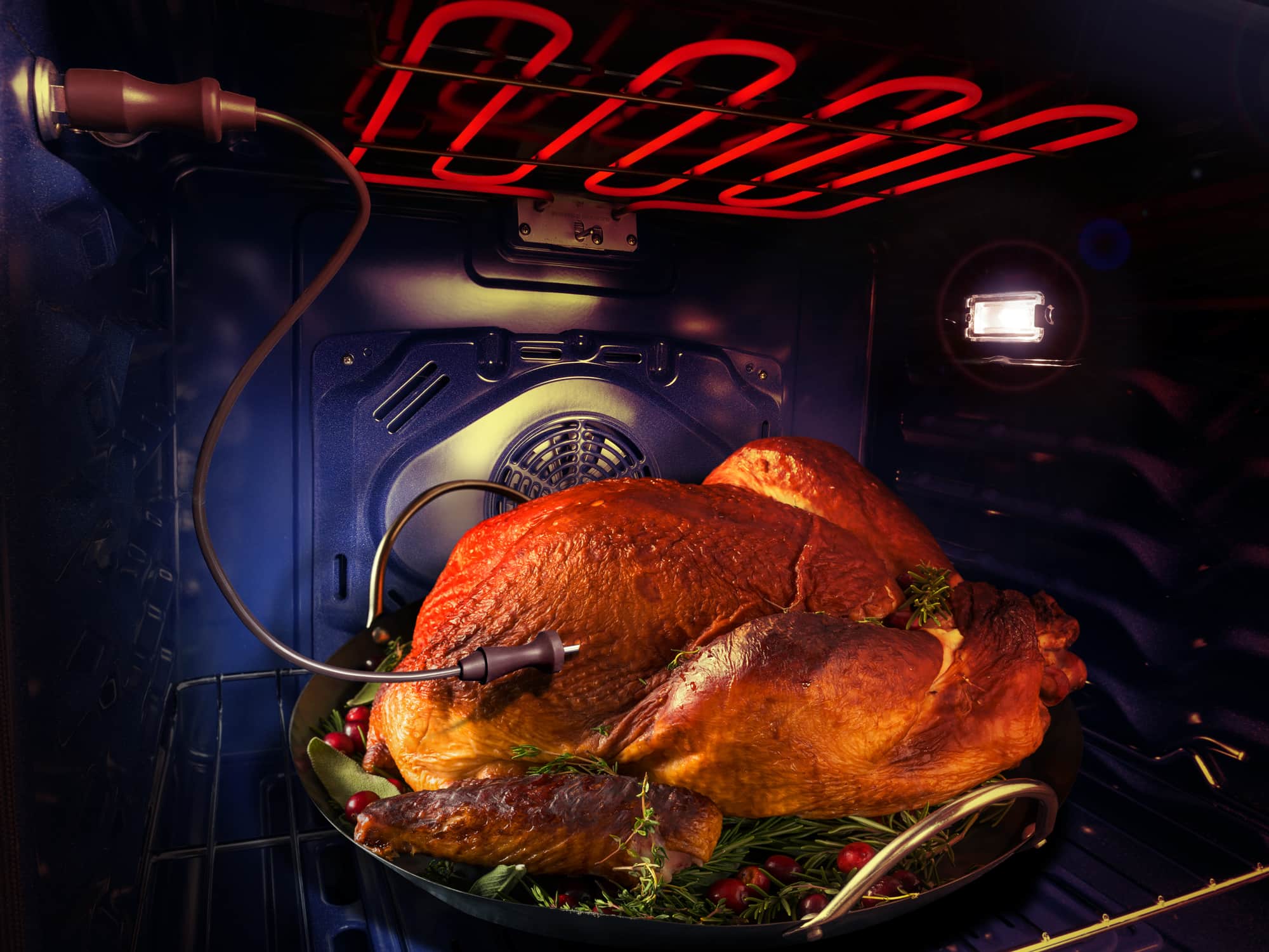 Roasted whole chicken in the oven cavity on a rack under the interior light