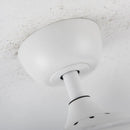 Parrot Uncle 36-Inch Bangaiore Modern Downrod Mount Crystal Ceiling Fan with Lighting and Remote Control