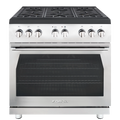 Forza 36-inch Professional Gas Range Special Edition in Stainless Steel (FR366SE)