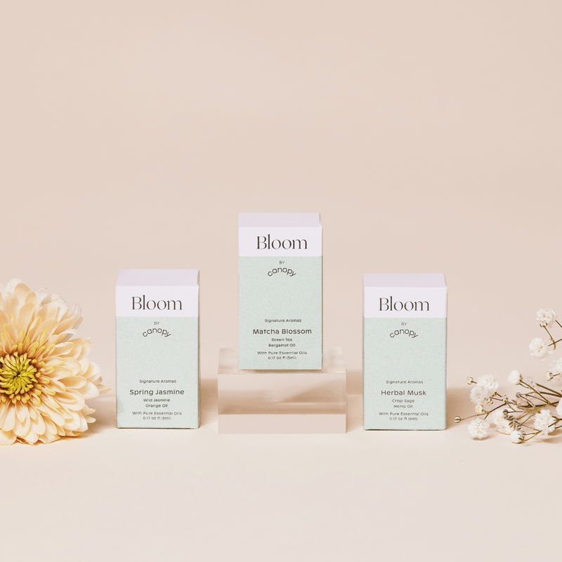 Canopy Bloom Aroma Kit With Pure Essential Oils