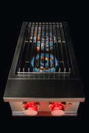 TrueFlame Double Natural Gas Side Burner in Stainless Steel (TFSB2)