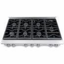 Vezeni 48-Inch Randolph Range in Stainless Steel with Silver Knob (VCN4804-PRO-SV)