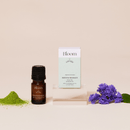 Canopy Bloom Aroma Kit With Pure Essential Oils