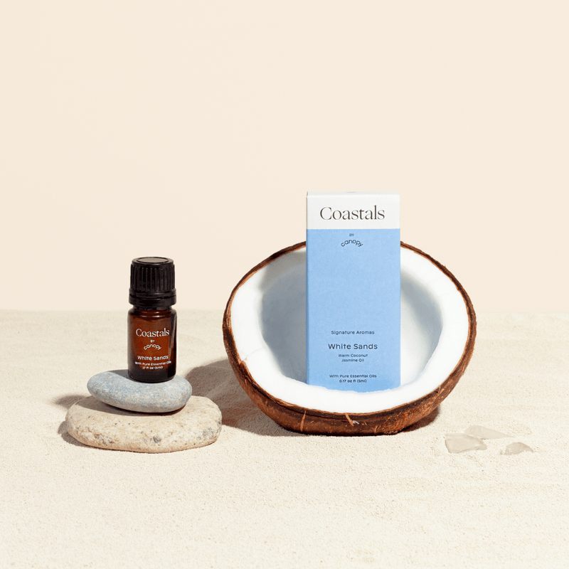 Canopy Coastals Aroma Kit With Pure Essential Oils