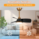 Parrot Uncle 28-Inch Modern DC Motor Downrod Mount Reversible Ceiling Fan with LED Lighting and Remote Control