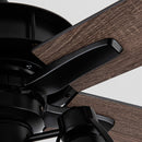 Parrot Uncle 52-Inch Kashmir Traditional Downrod Mount Reversible Ceiling Fan with Lighting and Remote Control (F6352110V)