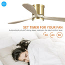 Parrot Uncle 52-Inch Mayna Smart Fan with LED Light and Remote Control (530173SQ-SMART)