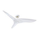 Parrot Uncle 52-Inch Punjab Industrial DC Motor Downrod Mount Reversible Ceiling Fan with Remote Control