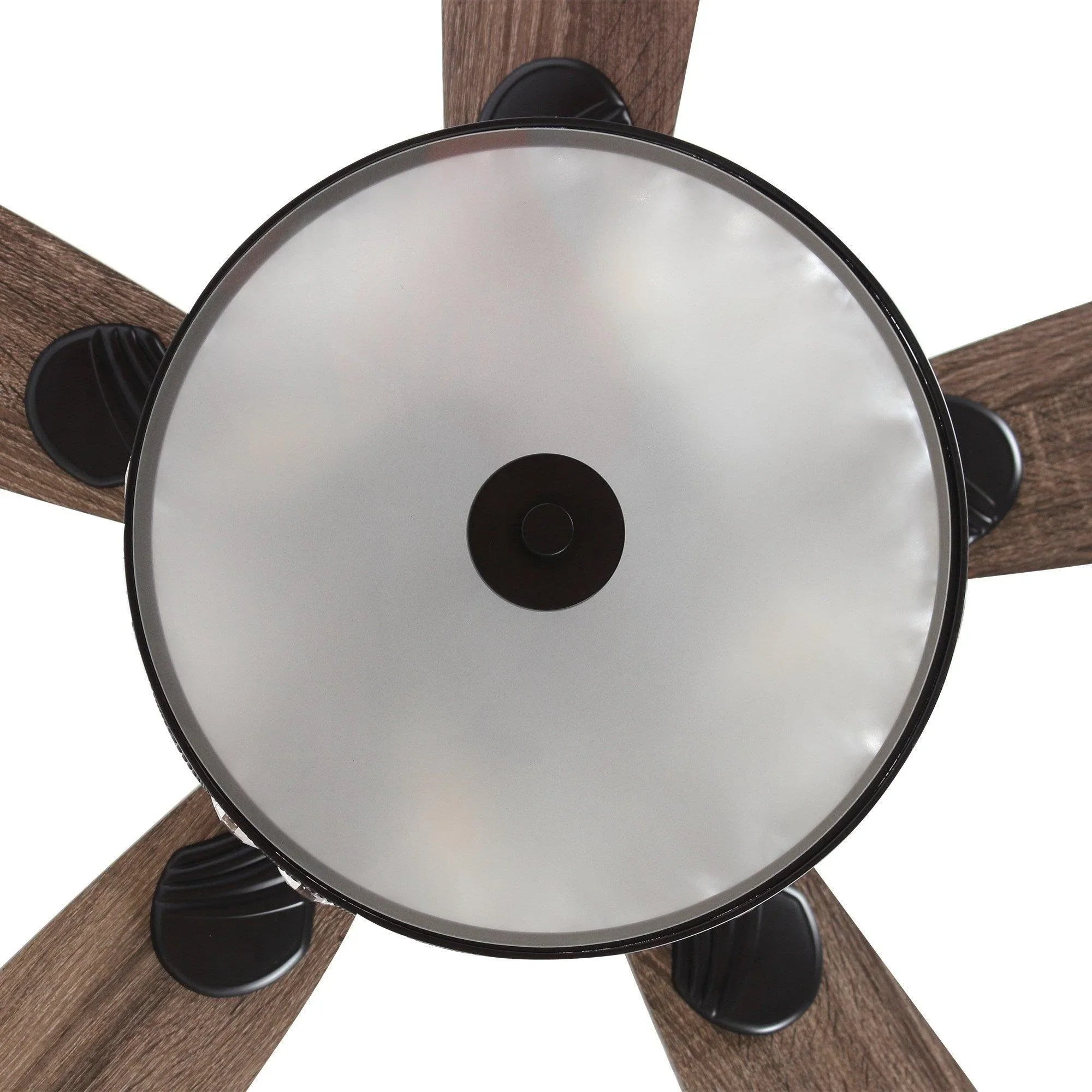 Ceiling fan motor hub with dark blade tips and multi-blade fan design