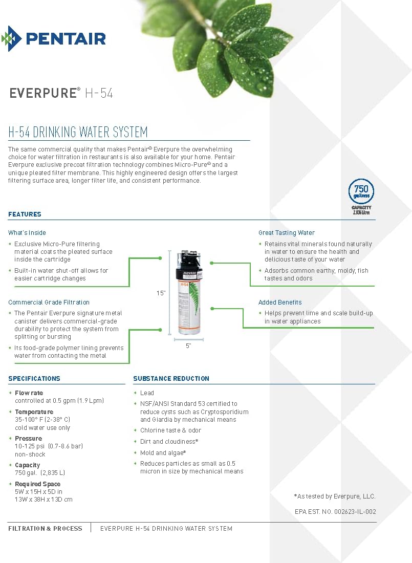Pentair Everpure H-54 drinking water filter cartridge with blue band