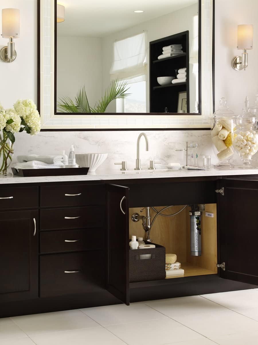 Under-sink filtration canister shown in bathroom vanity