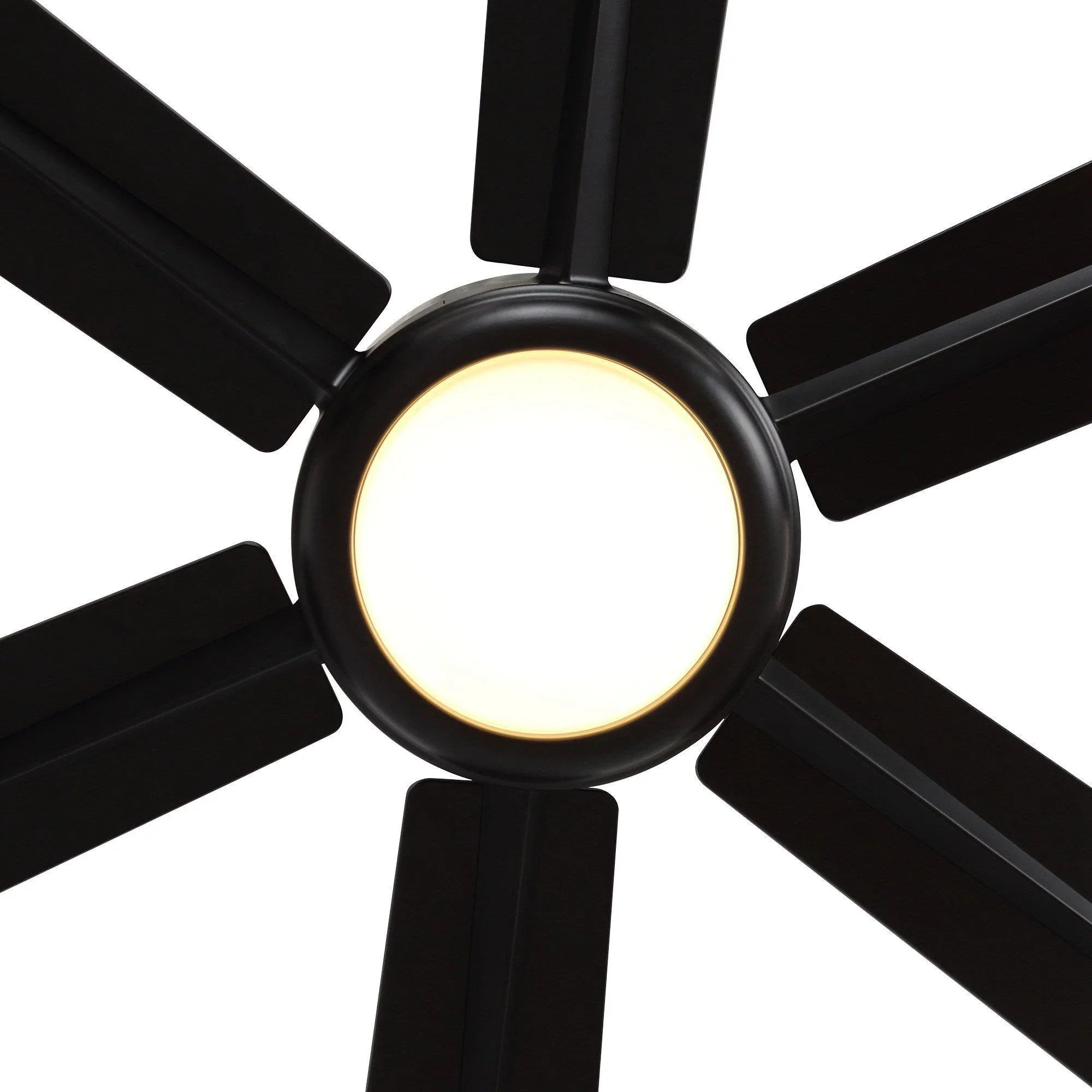Ceiling fan light globe with warm glow surrounded by black 5 blades