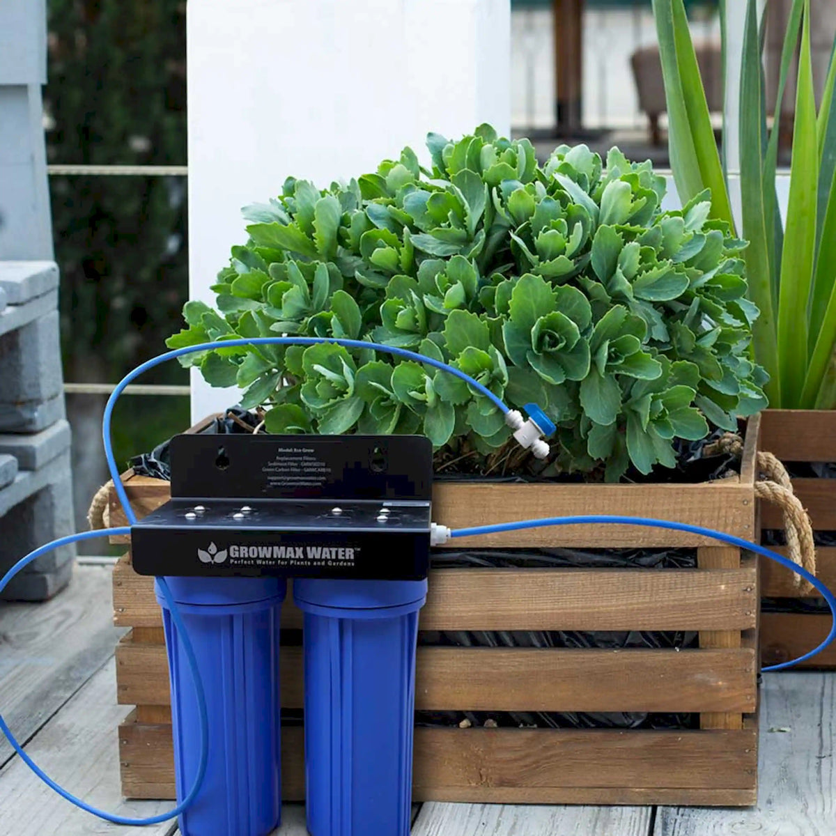 Two-stage garden water filtration system with blue canisters and blue hoses on wooden crate