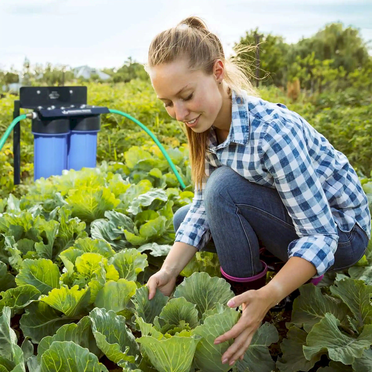 Garden water filtration system with connected hose in an outdoor vegetable garden