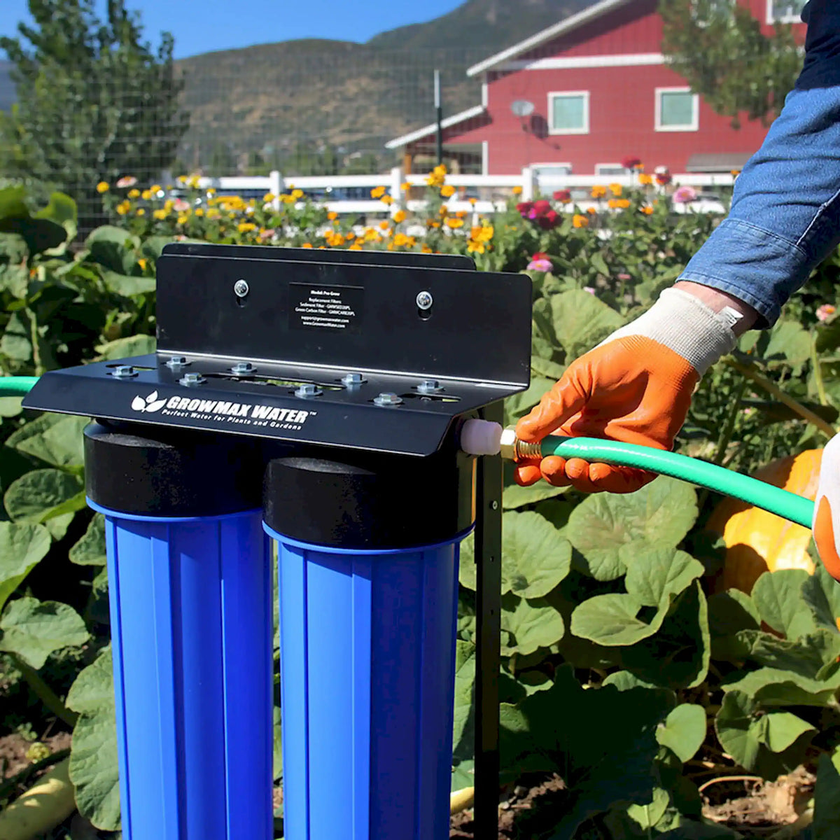 Outdoor garden water filtration unit with green hose attachment and blue canisters