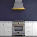 Kucht 30-Inch 600 CFM Ducted Wall Mout Range Hood in Stainless Steel with Gold Accents (KRH30SG)