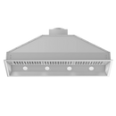 ZLINE 46-Inch Outdoor Range Hood Insert in Stainless Steel with 700 CFM Motor - 15-Inch Depth (695-304-46)