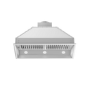 ZLINE 46-Inch Outdoor/Indoor Range Hood Insert in Stainless Steel - 18-Inch Depth (698-304-46)