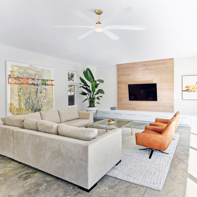 Parrot Uncle 72-Inch Jaydn Farmhouse DC Motor Downrod Mount Reversible Ceiling Fan with Lighting and Remote Control