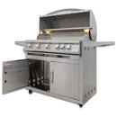 Blaze LTE+ 40-Inch 5-Burner Natural Gas Freestanding Grill in Stainless Steel (AP2-5LTE3-NG)