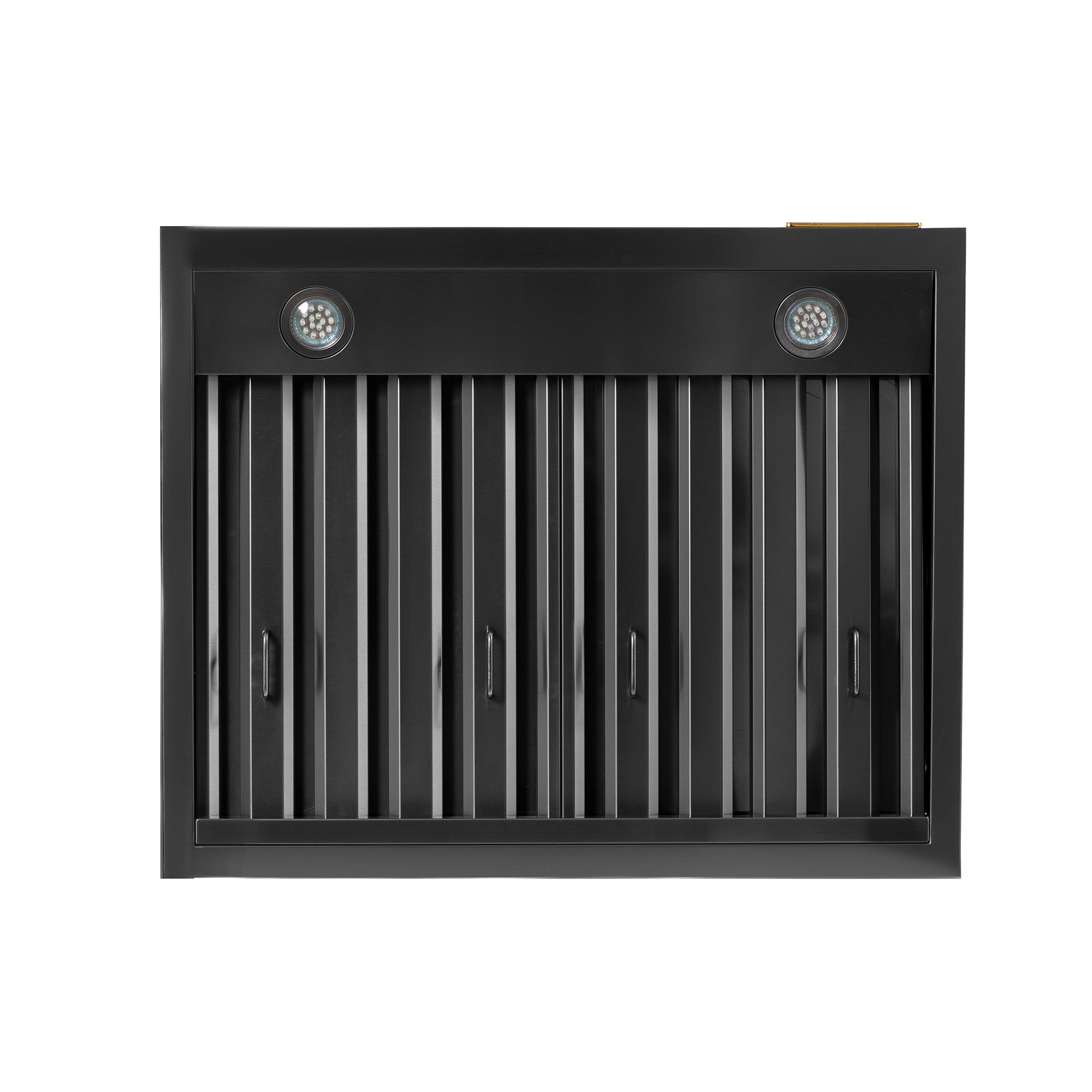 Under-cabinet range hood front baffle with vertical louvers and two round lights.