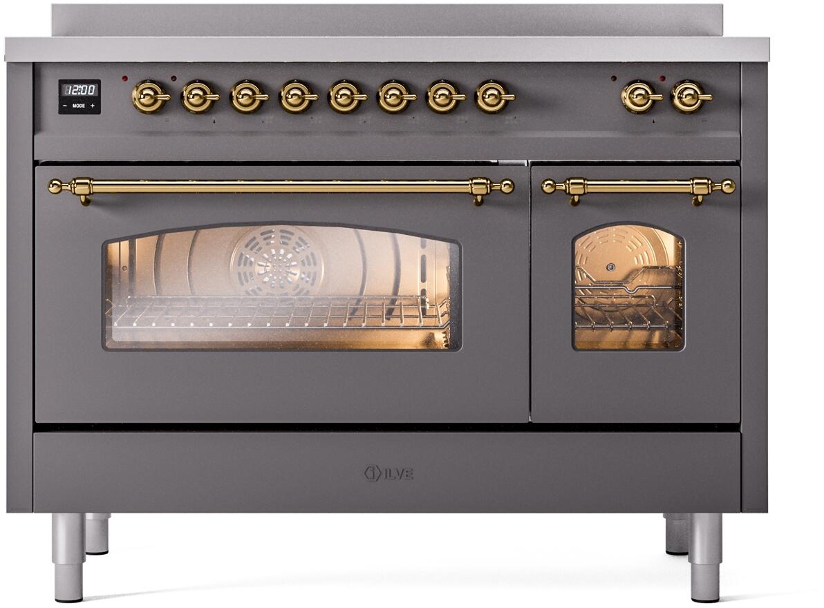 48-inch induction range with matte graphite finish and brass-trimmed doors, built-in oven view.